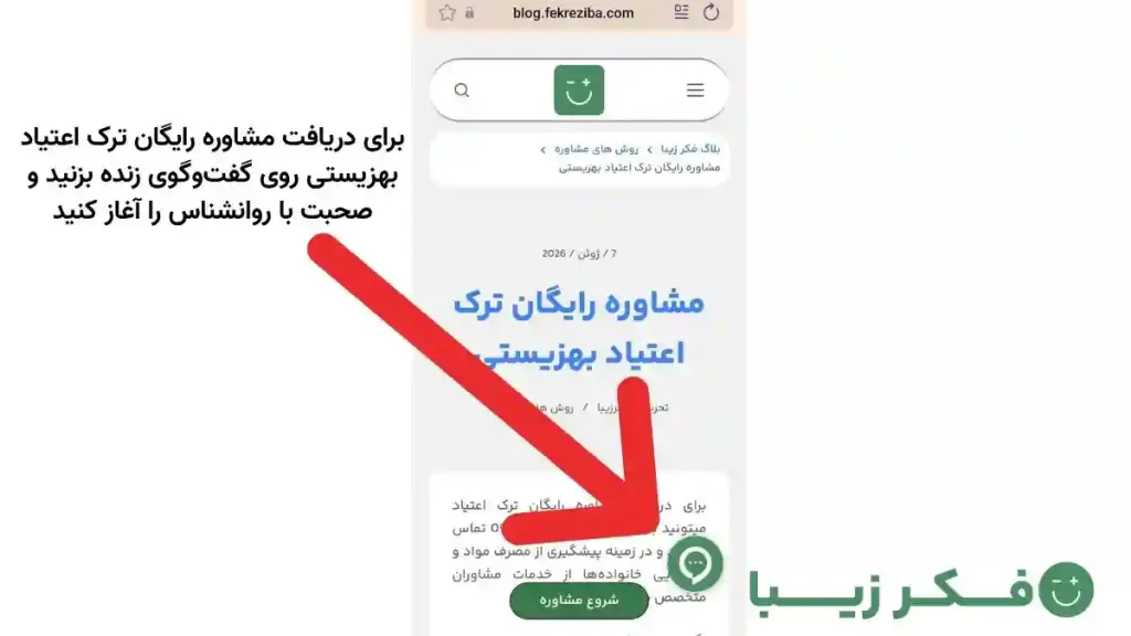 Free addiction counseling for welfare fekre ziba